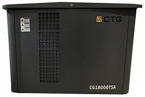 Газовый генератор CTG CG18000TSA ДизельЭнергоРесурс